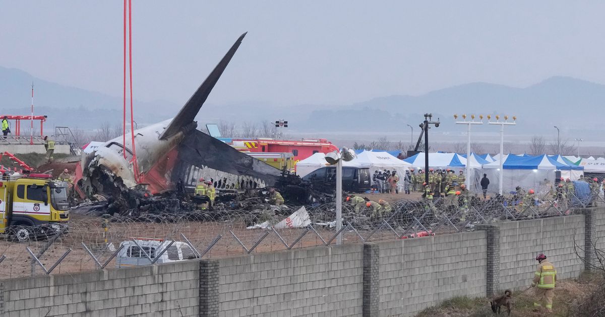 "Da nije bilo njega, avion bi se zaustavio u polju, svi bi preživeli": Zašto je zid bio na kraju piste?