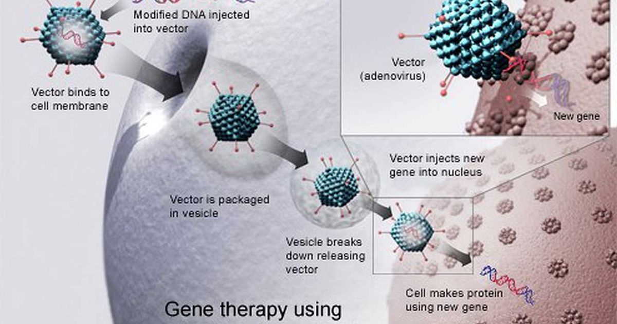 Nova platforma za gensku terapiju koristi proteinske „nanokaveze“ nalik virusima