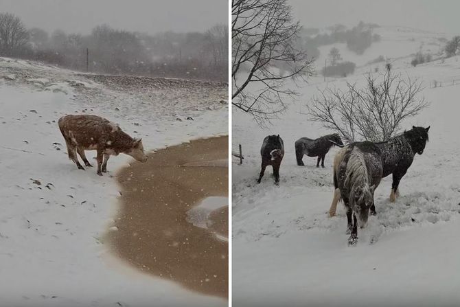 Zima na Pešteru