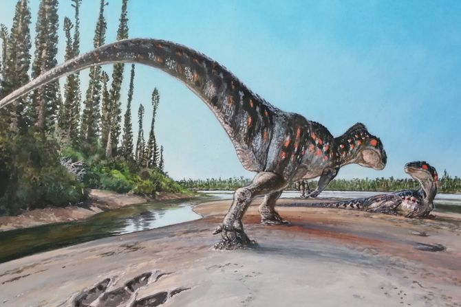 Otisak stopala dinosaurusa