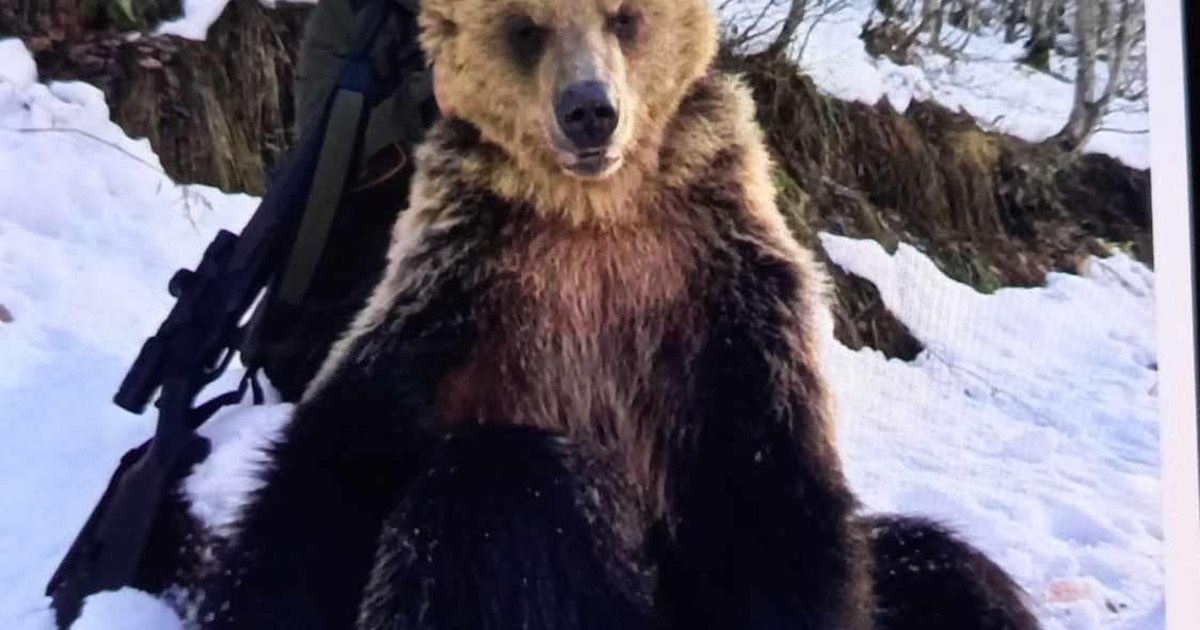 Traže smenu direktora jer je ubio mečku i slikao se sa njom: Veliki skandal u Makedoniji