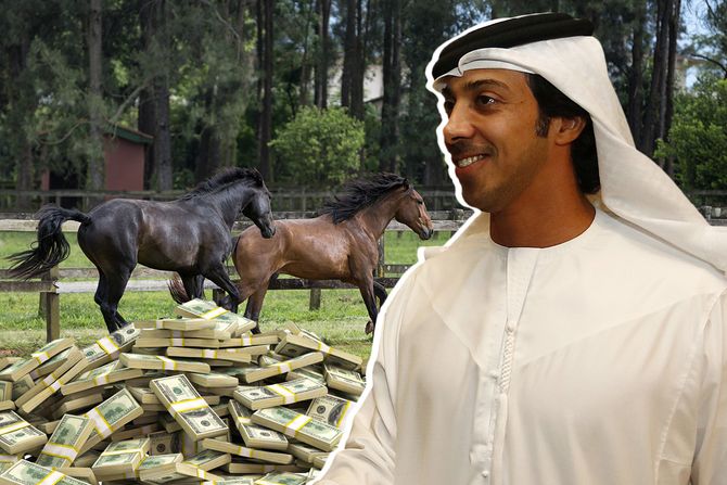 Šeik Mansour bin Zayed bin Sultan Al Nahyan