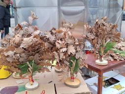 Badnjak na pijaci u Nišu