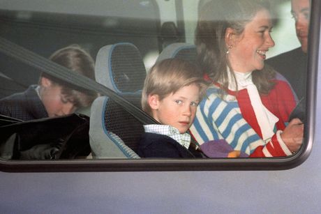 Dadilja prinčeva Viijama i Harija, Tidži Ledž Burk Dadilja prinčeva Viijama i Harija, Tidži Ledž Burk