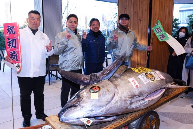 Tokio, tuna 1.3 million USD Tokio, tuna 1.3 million USD