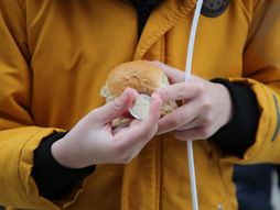 Hram svetog Save, Božićna česnica