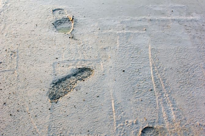 svež beton svež beton