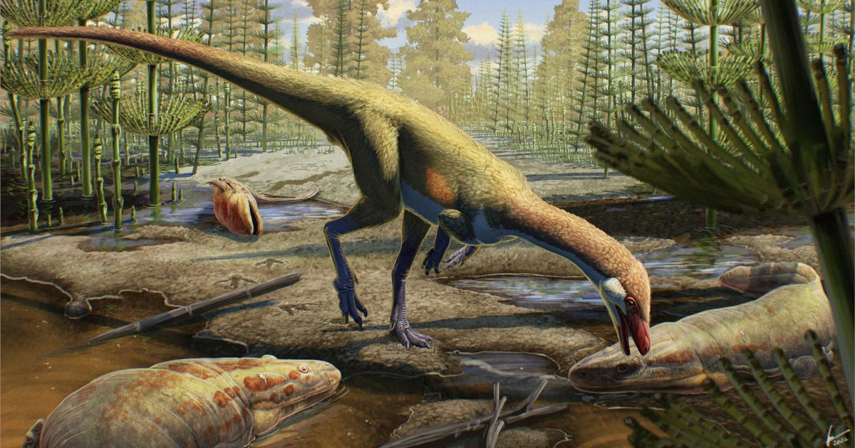 „Bio je velik kao kokoška, samo sa mnogo dužim repom“: Otkriven najstariji dinosaurus Severne Amerike