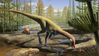 „Bio je velik kao kokoška, samo sa mnogo dužim repom“: Otkriven najstariji dinosaurus Severne Amerike