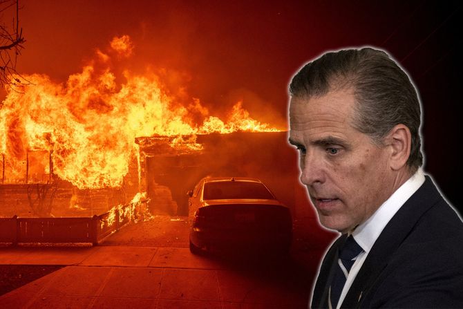 Hunter Biden, Los Angeles