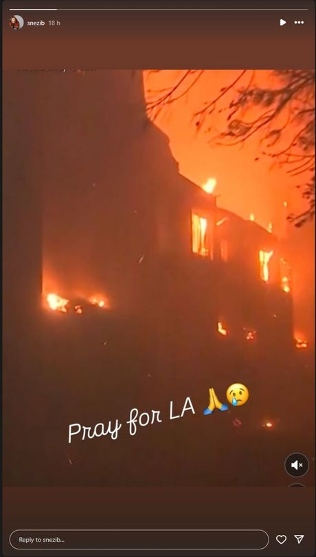 Snežana Bogdanović