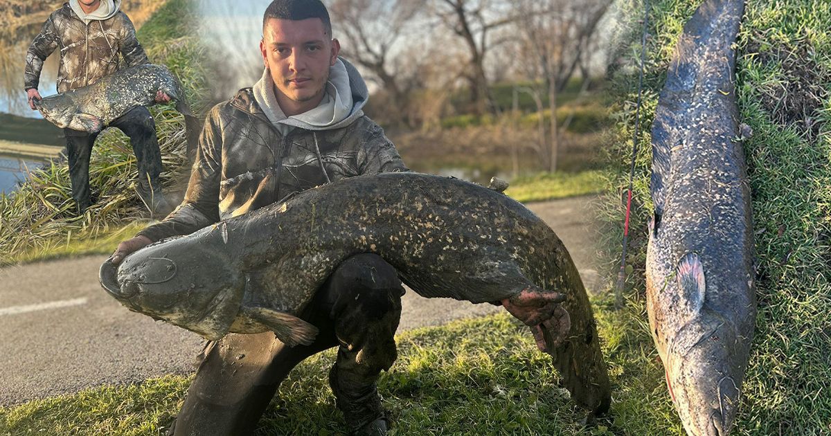 Čim mu je rep izvirio iz vode, znao sam da je nešto ogromno: Ranko ulovio grdosiju na drugi dan Božića