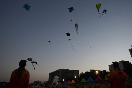 Međunarodni festival zmajeva u Indiji Međunarodni festival zmajeva u Indiji