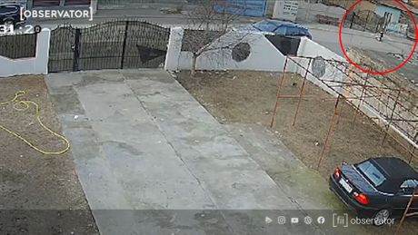 Yannis Romania Janis