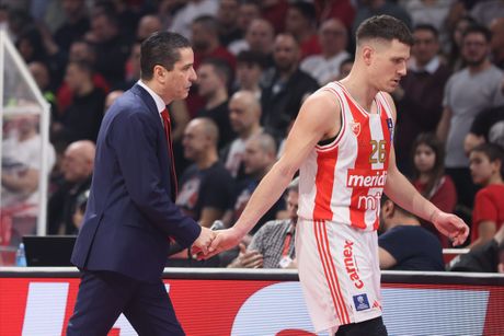 Janis Sferopulos i Nemanja Nedović