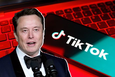 Elon Musk, TikTok