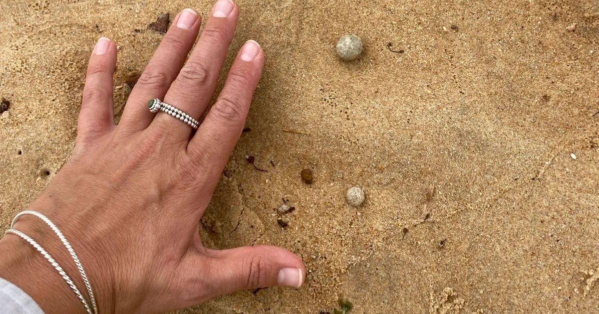 Misteriozne loptice pojavile se na obali, zatvorene popularne plaže: Druga uzbuna za 3 meseca u Australiji