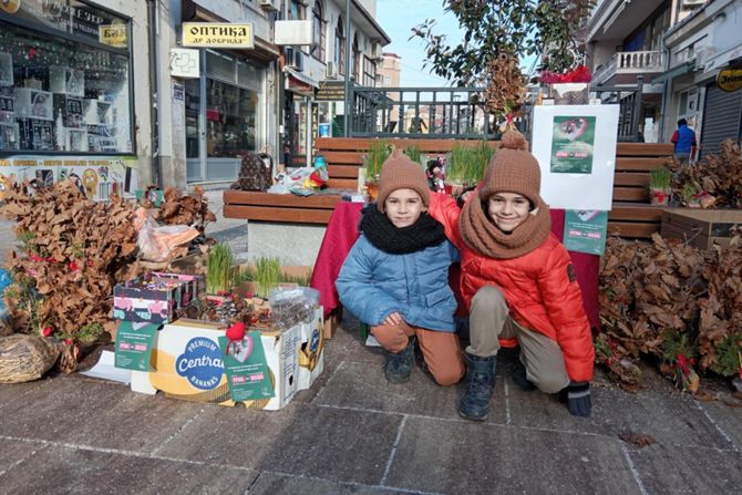 Jelena Trifunović, budi human, sinovi prodaju badnjak