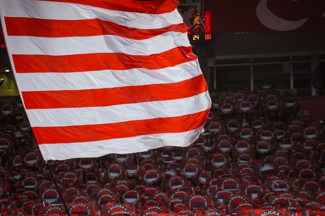 Navijači Crvene zvezde , Delije Navijači Crvene zvezde , Delije