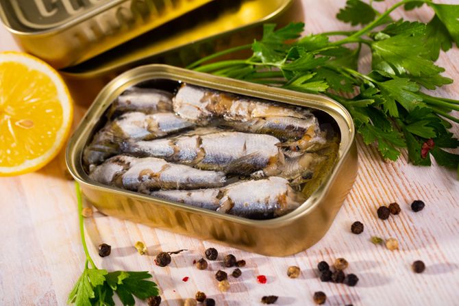 sardina, riba u konzervi, najzdravija riba u konzervi sardina, riba u konzervi, najzdravija riba u konzervi