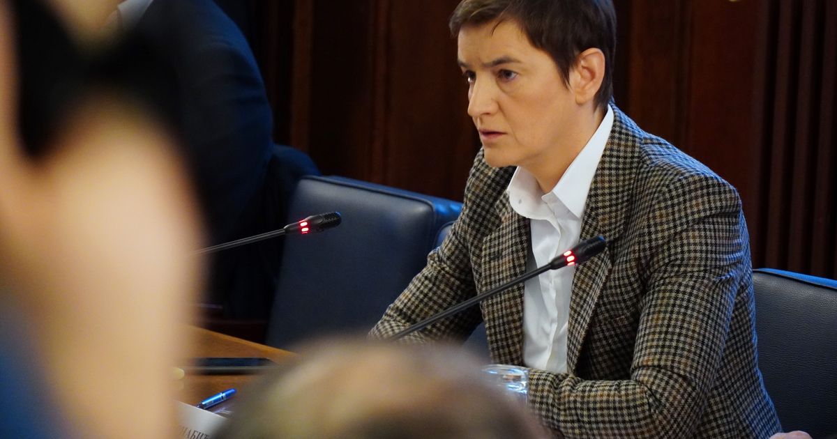 Brnabić: Opozicija preuzima proteste, zabrinuta sam, njihova politika je nasilje