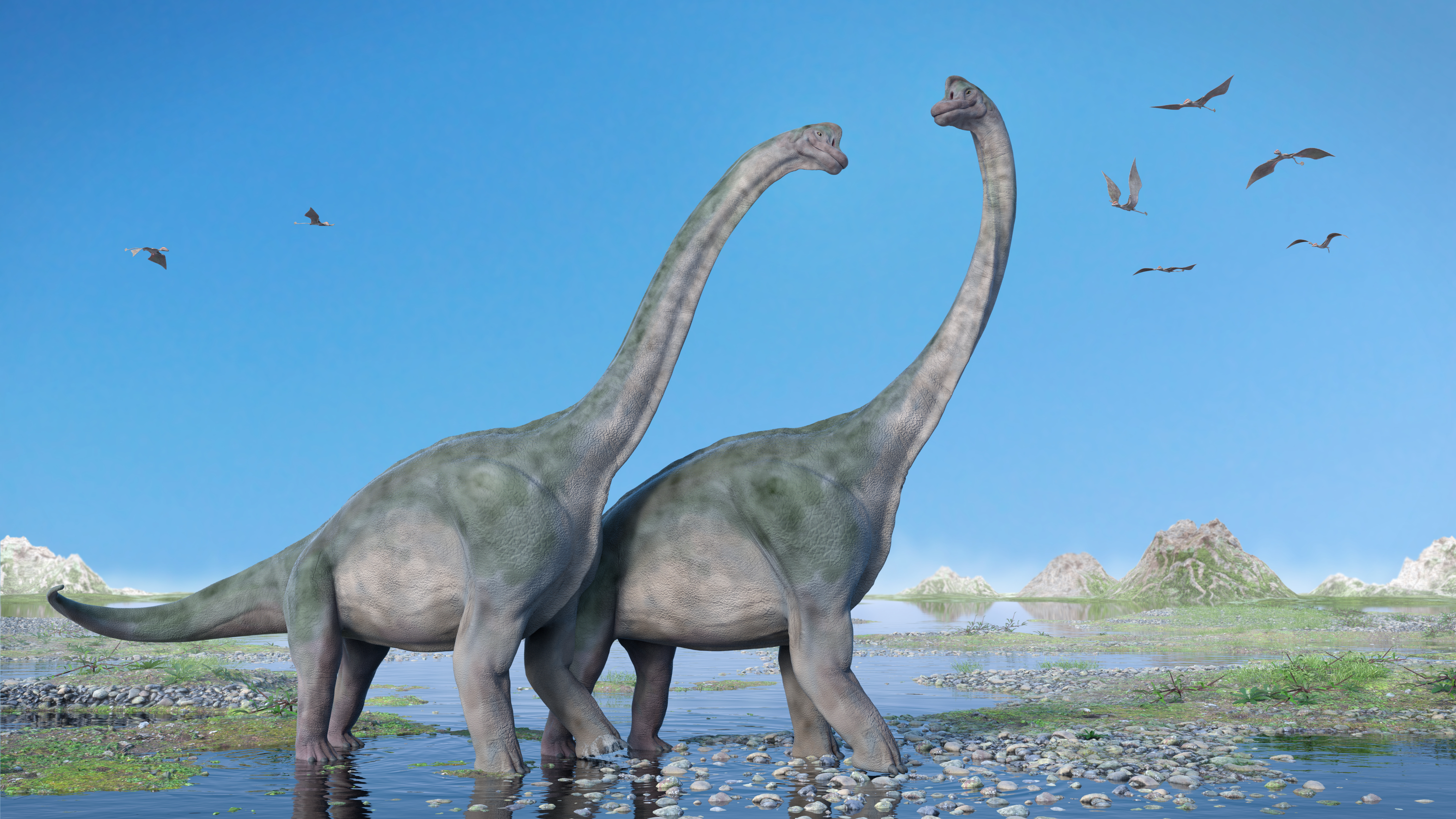 Zašto nisu postojali sićušni dinosaurusi? Sisari bi mogli biti krivci