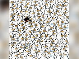 Skrivalica polarni medved