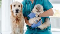 Ako se ove situacije dešavaju kad god odvedete ljubimca na pregled, vreme je da promenite veterinara
