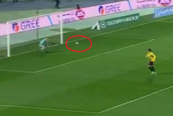 Predrag Rajković Predrag Rajković