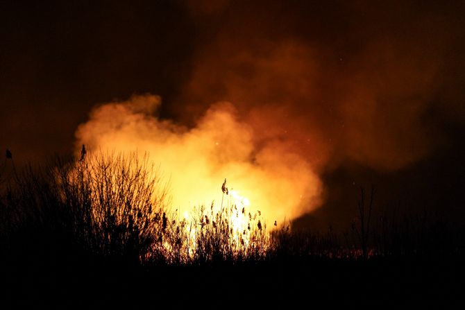 Krnjača požar rastinje Krnjača požar rastinje