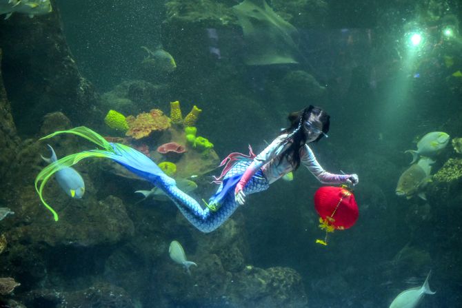 Sirena Sirena