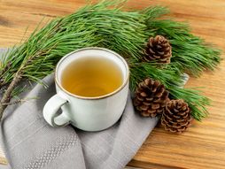 čaj od borovih iglica, čaj, imunitet, borove iglice