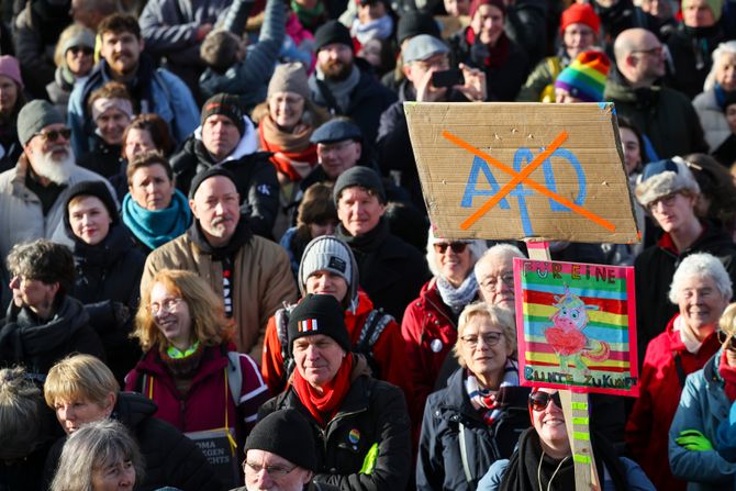 Nemačka, protest protiv AfD