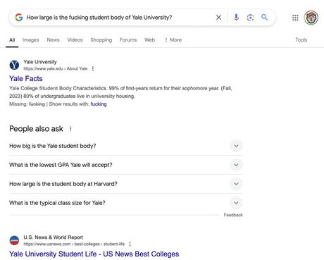 Google AI pretrage sa psovkom