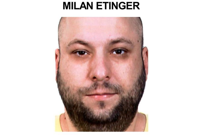 Milan Etinger