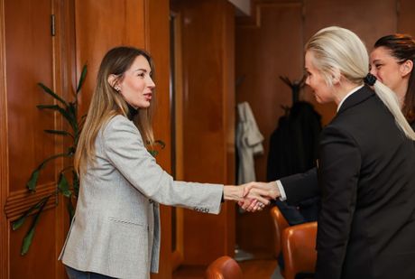 Dubravka Đedović Handanović