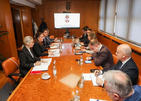 Dubravka Đedović Handanović