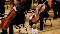 Ponovo koncerti za bebe u Beogradskoj filharmoniji