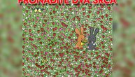 Da li možete da uočite 2 skrivena srca? Samo uporni će ih pronaći za manje od 20 sekundi