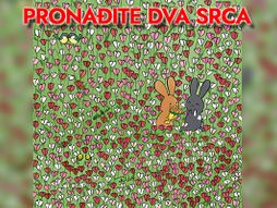 Dudolf Valentine's Day