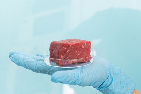 Meso iz laboratorije Meso iz laboratorije