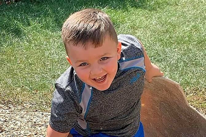 Hayden Manis Hayden Manis