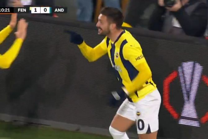 Dušan tadić, FK Fenerbahče