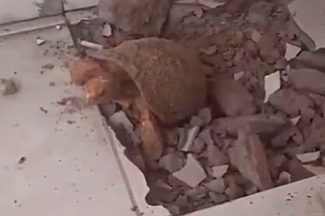 Luiza Coelha da Cruz Aguiar Luiza Coelha da Cruz Aguiar