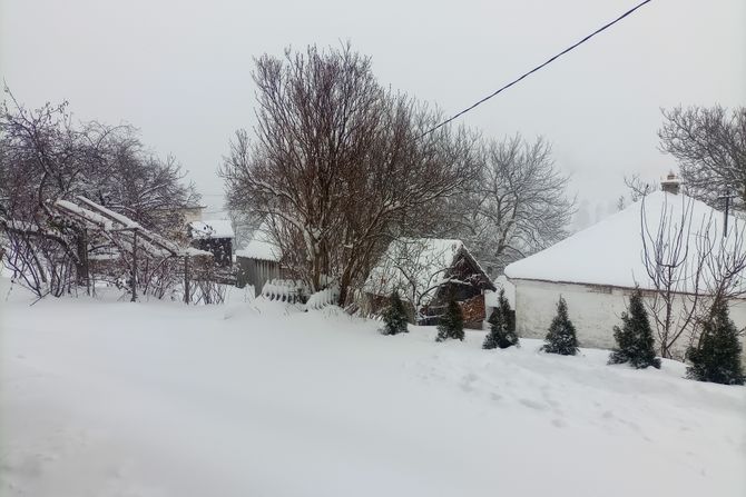 Zlatibor, sneg