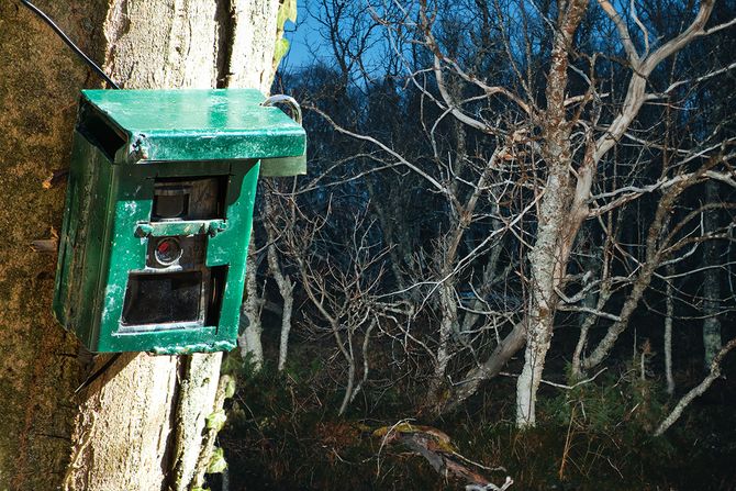 Kamera šuma Kamera šuma
