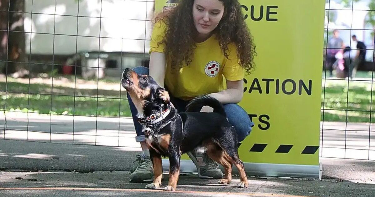 Da li je vaš pas brz i snalažljiv ili "blenta": Otkrijte njegovu sportsku stranu na ARS Temptation u Beogradu