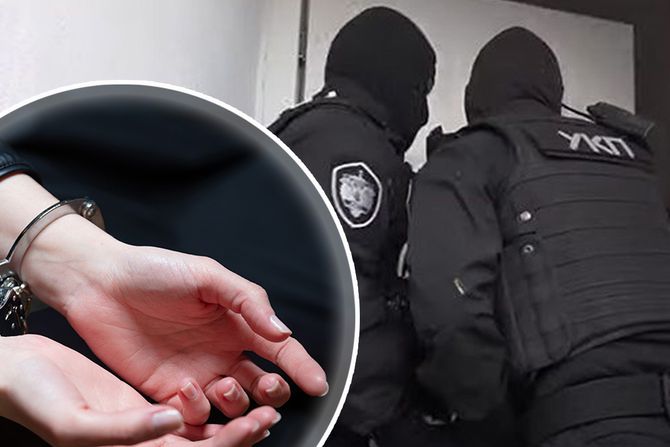 Policija UKP hapšenje lisice Policija UKP hapšenje lisice