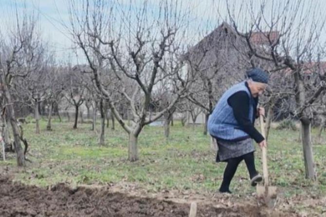 Baka Radosija Petrović