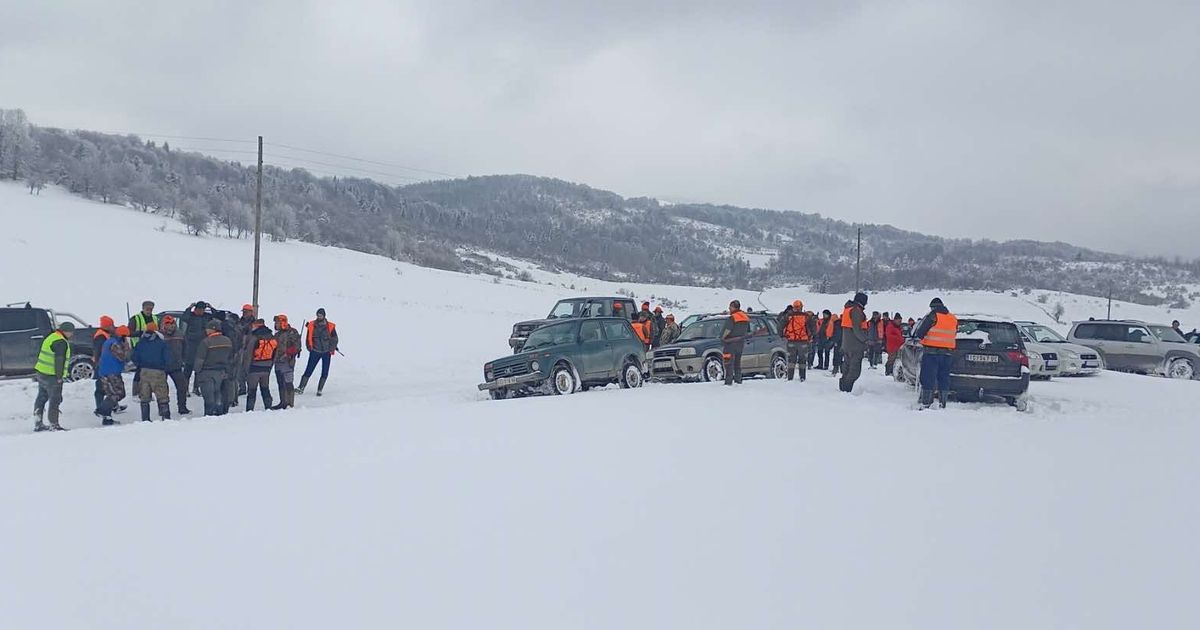 Uhvaćena zver kod Nove Varoši: Kreću se u tri čopora, jedu lovačke pse i seju strah